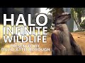 Halo Infinite Wildlife by David Attenborough