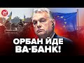 😡СЕКРЕТНИЙ лист Орбана ОШЕЛЕШИВ! / Невже він заблокує ВСЮ ДОПОМОГУ Євросоюзу Україні ?