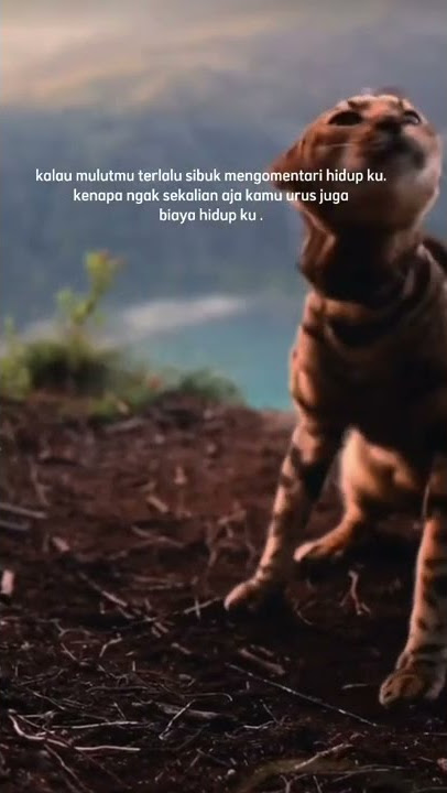 story wa 30 detik viral#shorts