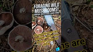 ESEE Laser Strike #mushrooms #survival #fixedblade picking mushrooms for breakfast