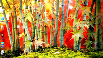 How to get Aero on windows 7 home basic and on windows 7 starter?