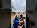 POV Giant Arapaima Smash Boat! 🐟🚤POV 초거대 아라파이마 보트 충돌! 🐟🚤POV 超巨大アラパイマ 船激突!🐟🚤