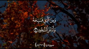 سورة ق (36-45)