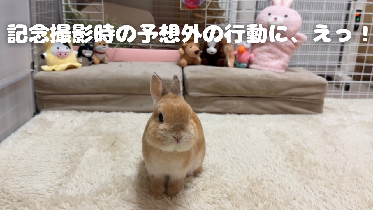 記念撮影時に予想外の行動に、えっ！！ - YouTube