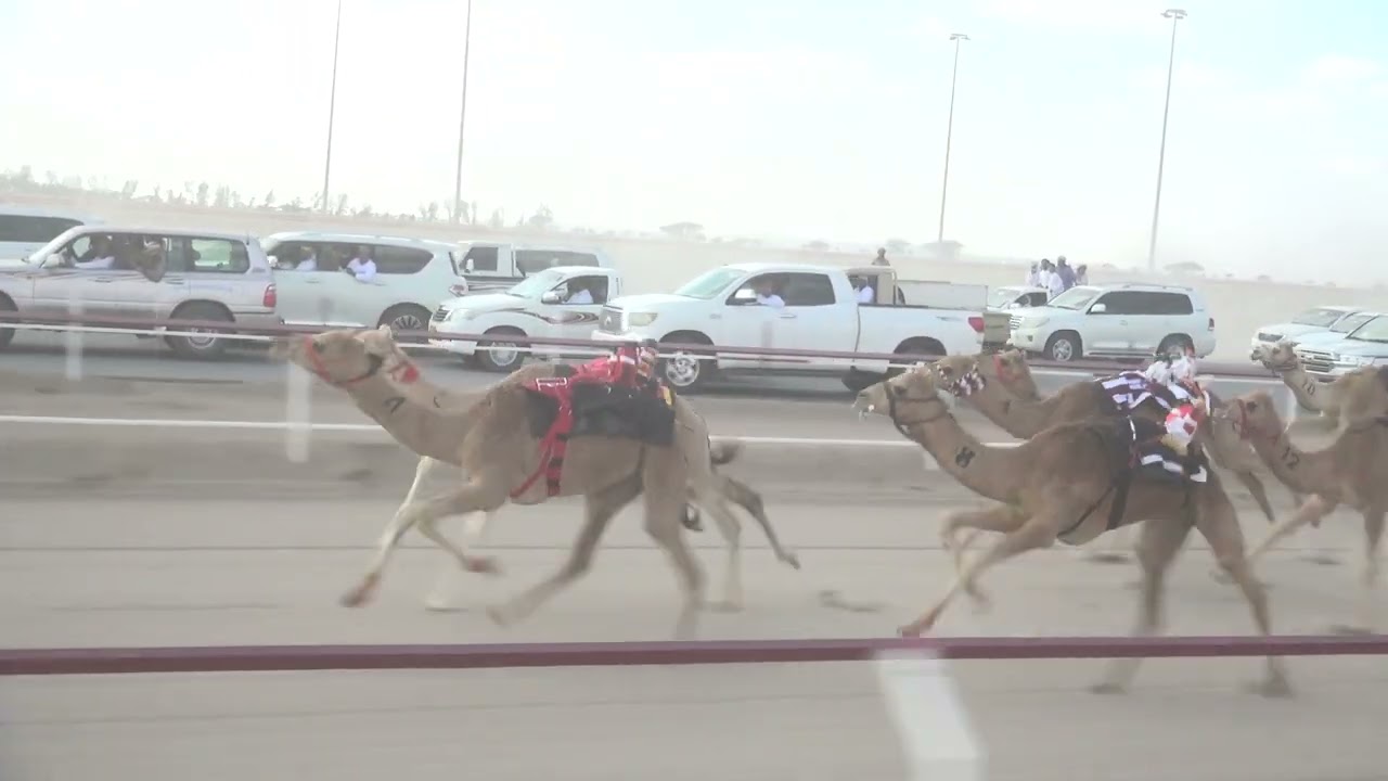 ش1 امجاد لــ سالم بن عيسى سعيد الجنيبي 2:08.72