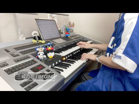 三線の花/BEGIN ♯952【20211018】HitExpress エレクトーン演奏