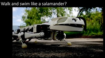 Biomimicry - Robots Inspired by Nature