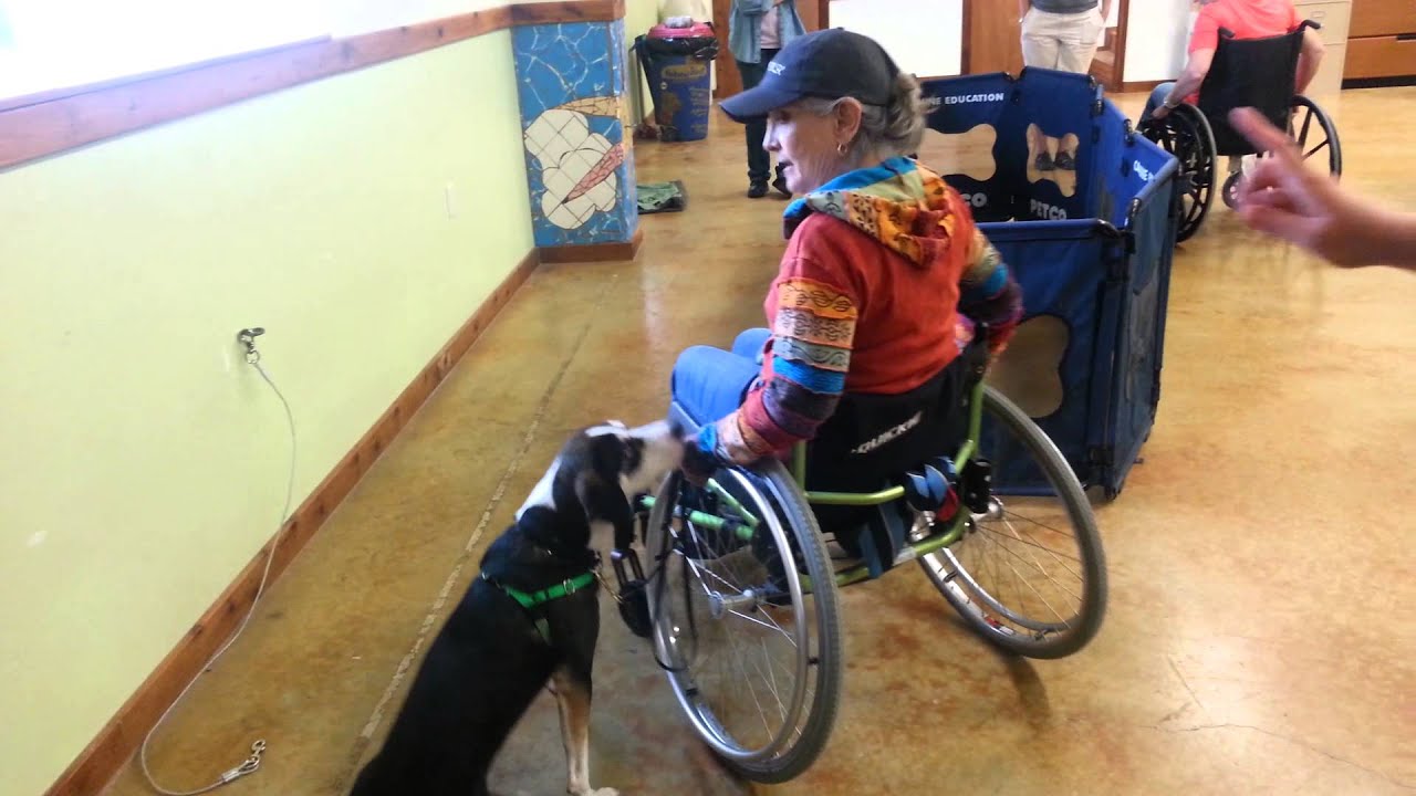 Wheelchair work with Derby at SDI YouTube