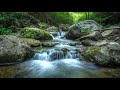 Relaxing Nature Sounds | Calming Ambience for Focus, Study &amp; Sleep