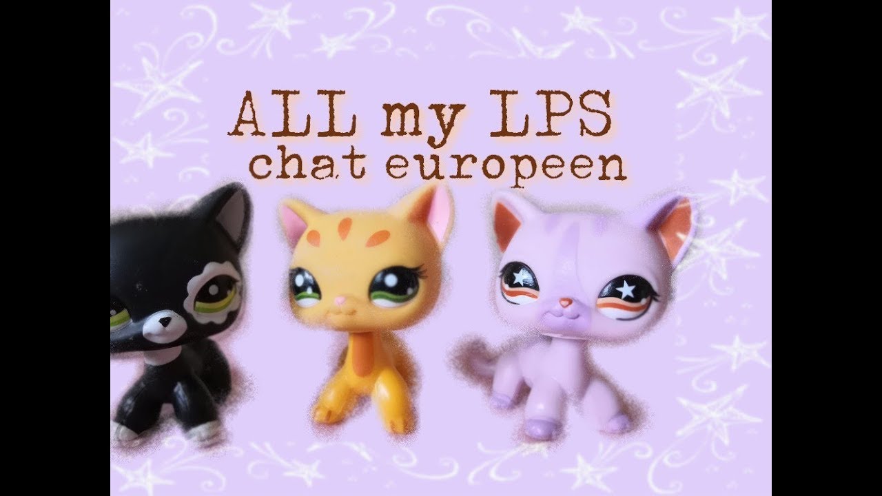 13 All My Lps Chat Europeen Short Hair Cat Lps Petshop Youtube 13 All My Lps Chat Europeen Short Hair Cat Lps Petshop Youtube
