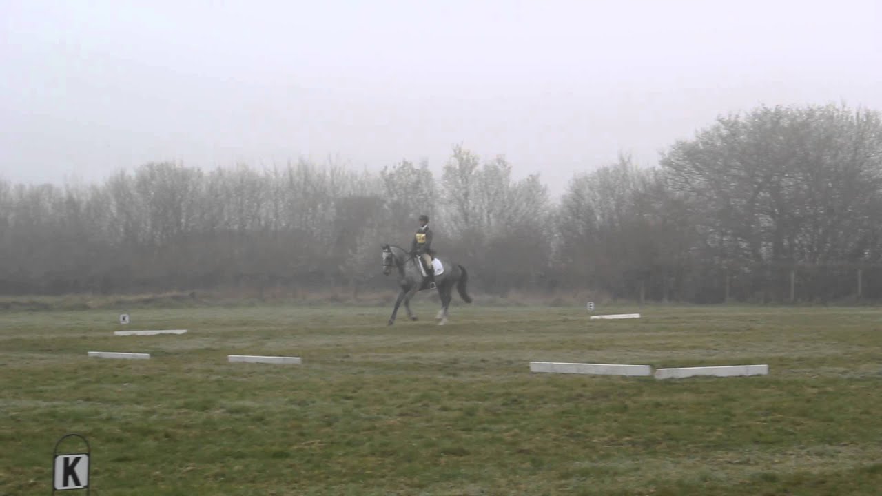 Oakenhall True Star - Dressage Aldon March 2014