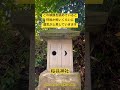 ✨この映像を眺めていると何故か怖いくらいに運気が上昇していきます⤴️【桜井神社】 #運気上昇 #スピリチュアル #パワースポット #遠隔参拝