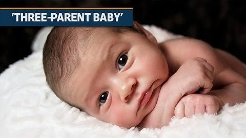Britain first country to approve ‘three-parent’ babies
