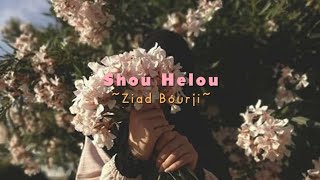 Shou Helou - [speed up tiktok]