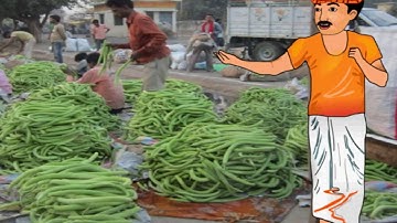 EVS - From Market to Home -  Part 2 - Taking To Mandi  - NCERT Class 4  - In English