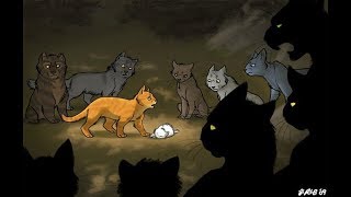 Коты Воители - Клип Hello World (Заказ)