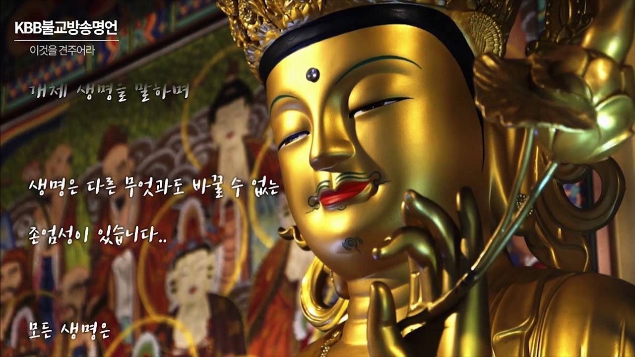 [KBB불교명언] 이것을 견주어라 Korea Buddhism Broadcasting [Buddhism Famous saying] Buddha word YouTube