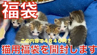 【福袋開封】新年といえば福袋！４８４０円の猫用福袋開封しちゃいます。