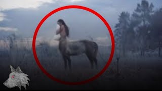 #5 Centaurs Caught on Camera In Real Life