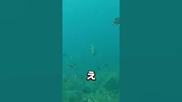 釣り人なら分かる衝撃映像
