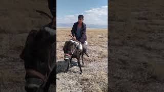 Esek Saha Kaldi̇rma