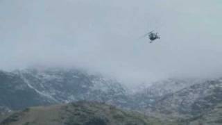 Who dares wins Lewis Collins