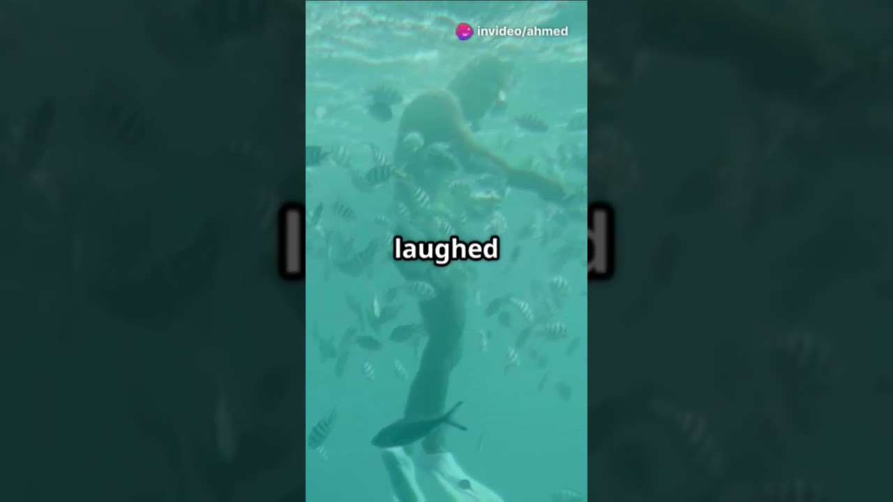 fish 🐟 want to fly 