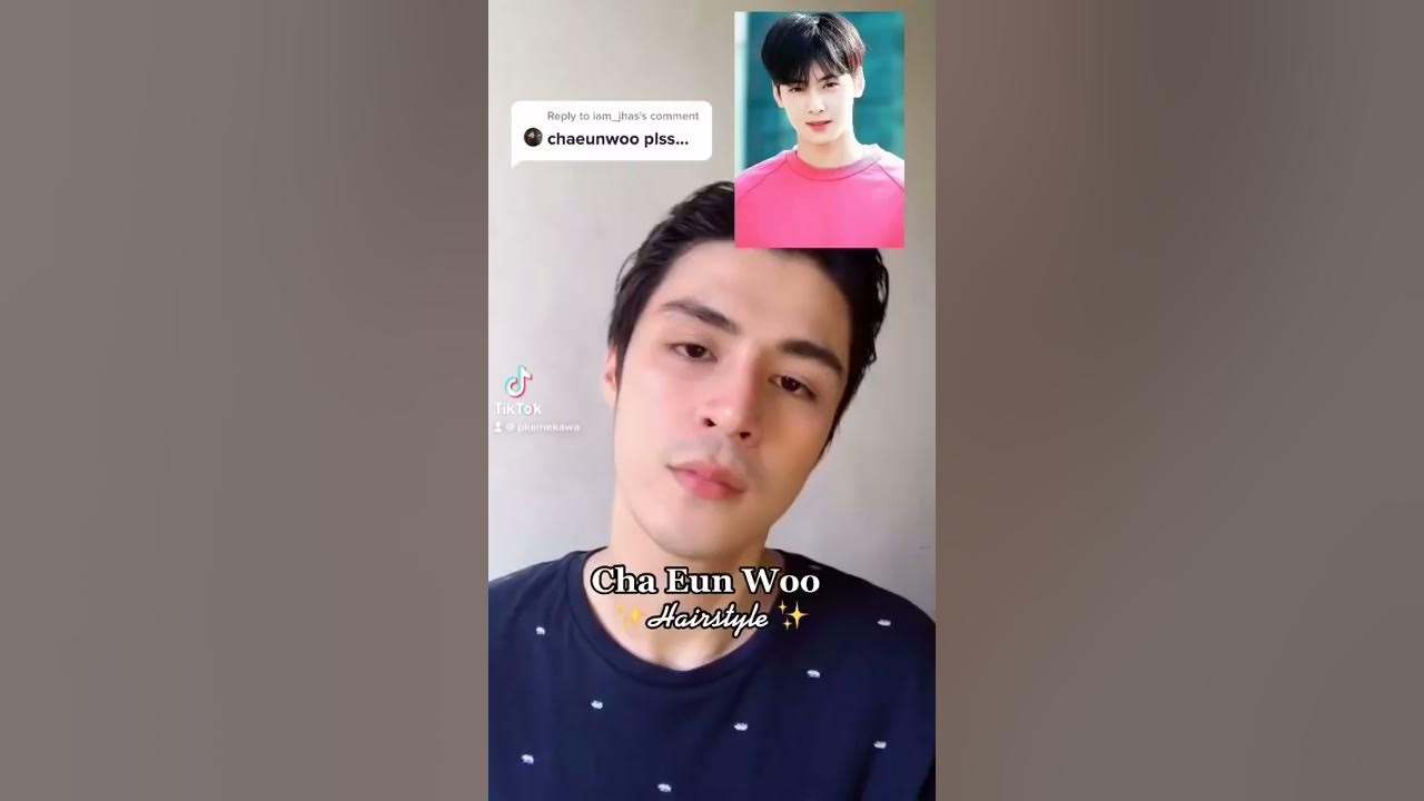 Cha Eun Woo Hairstyle  Tiktok Viral 