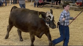 4-H Parade of Champions & Expo Sale - W.C. Fair 2017