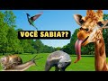 Você sabia?? 12 coisas incríveis você não sabia?? que esses animais faz!!