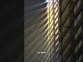 高瀬統也 - 質恋 (feat. まつり)