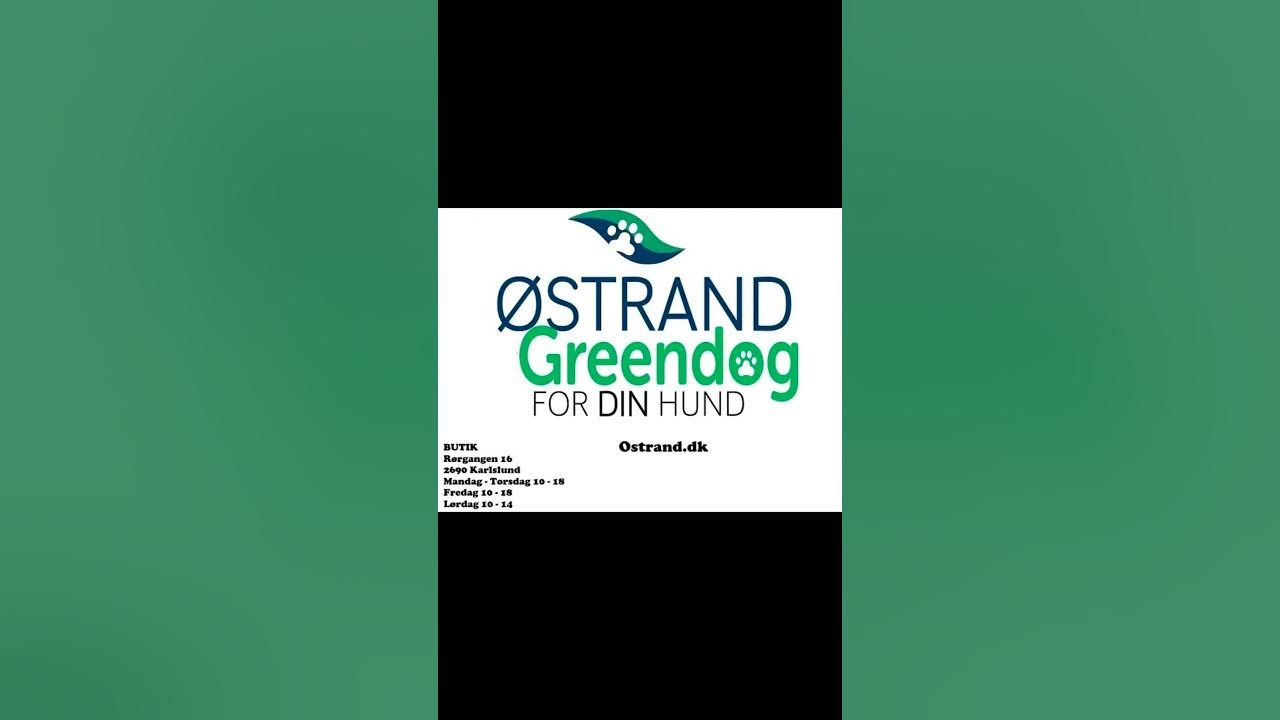 Østrand/ Greendog Hundeartikler YouTube