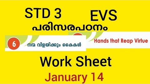 #class3evs #Std3evs  KITE VICTERS STD 3 Environment Studies work sheet January 14 Unit - 6