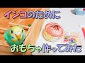 インコにおもちゃ作ってみた♪ #20