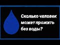 Сколько человек может прожить без воды? Коротко, но понятно