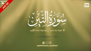 Surah At-Tin (The Fig) | سورة التين  |Surah no. 95 | Juz 30 | Syed Mohammed Barmawar