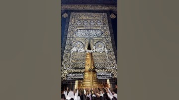سورة الاحقاف_يا قومنا أجيبوا داعي الله وآمنوا به يغفر لكم من ذنوبكم ويجركم من عذاب أليم