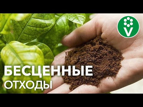 ОСТАНОВИТЕСЬ! Вы выбрасываете это УДОБРЕНИЕ ДЛЯ РАССАДЫ каждый день!