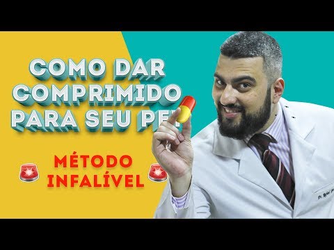 Vídeo: Como Dar Uma Pílula A Um Cachorro Usando Alimentos Seguros