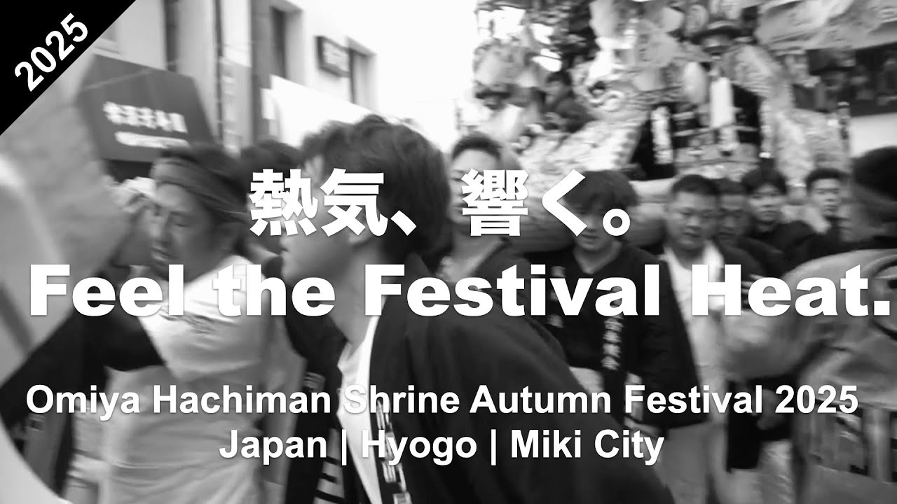 2025/10/12 兵庫県三木市｜大宮八幡宮秋祭り 明石町屋台 / 新町屋台 / 末広屋台 / 下町屋台 / 栄町屋台 / 高木屋台　 街道　石段登り Cinematic Documentary