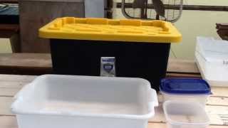 The Easiest DIY Black Soldier Fly Box Ever