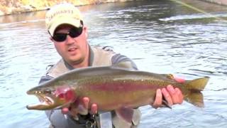 Truckee River Fly Fishing Map Diy Guide To Fly Fishing The Truckee River In California · Diy Fly Fishing