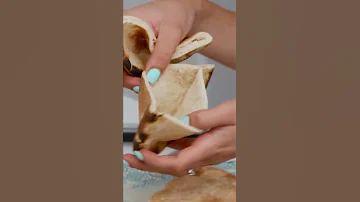 The RIGHT Way To Make A Pita Sandwich Shorts 