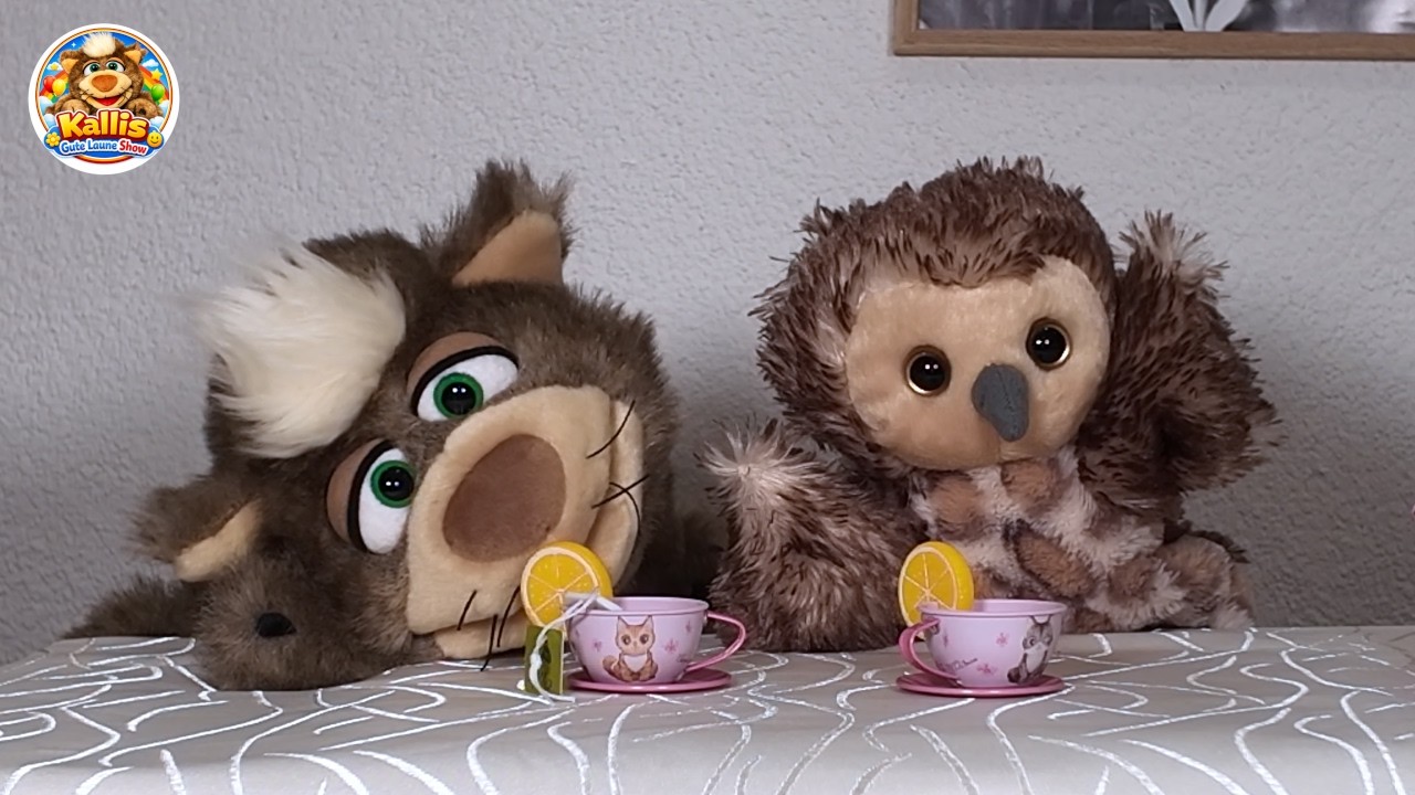 🎶🌙 Kalli & Martha sind sooo müde! 😴✨ Gute Nacht Lied | Kallis Gute Laune Show Abendshow