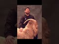 Messi  goat 