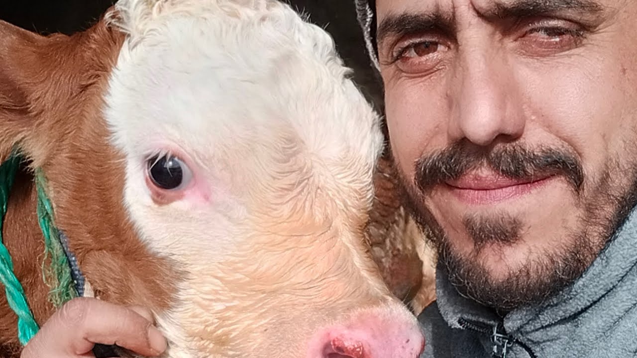 köyde Hayat devam ediyor Kış ayları#gopro10black