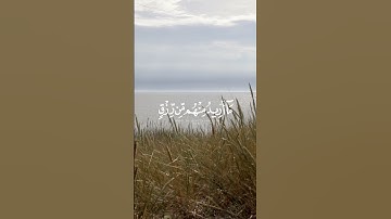 تلاوة من سورة الذاريات♥️♥️☘️. #المصحف #راحه_نفسيه #راحة_نفسية #راحة_القلب #قران #quran. #qurankareem
