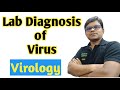 Laboratory diagnosis of viral infections in hindi by dinesh sir  virology