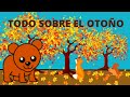 TODO SOBRE EL OTOÑO para niños/ explicación en ESPAÑOL sencilla y divertida.