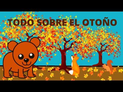 Video: Otoño Surtido